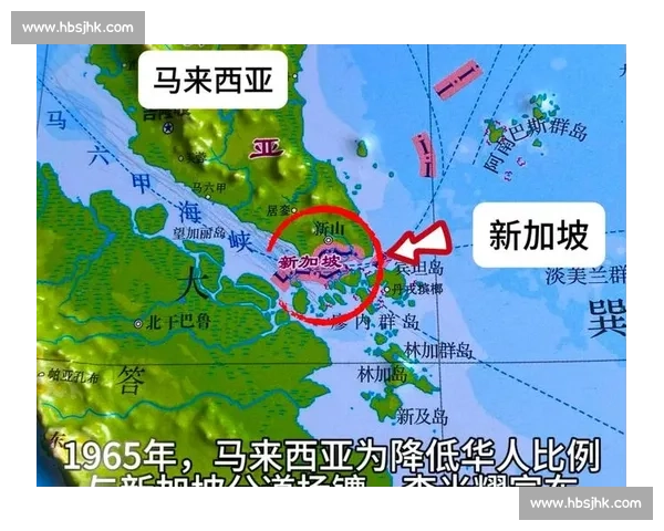 马来西亚对阵新加坡区域竞争与合作格局新观察背景趋势深度解析