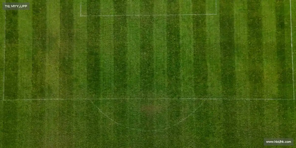 milan米兰🏂雪道飞驰,风的速度就是青春的态度!